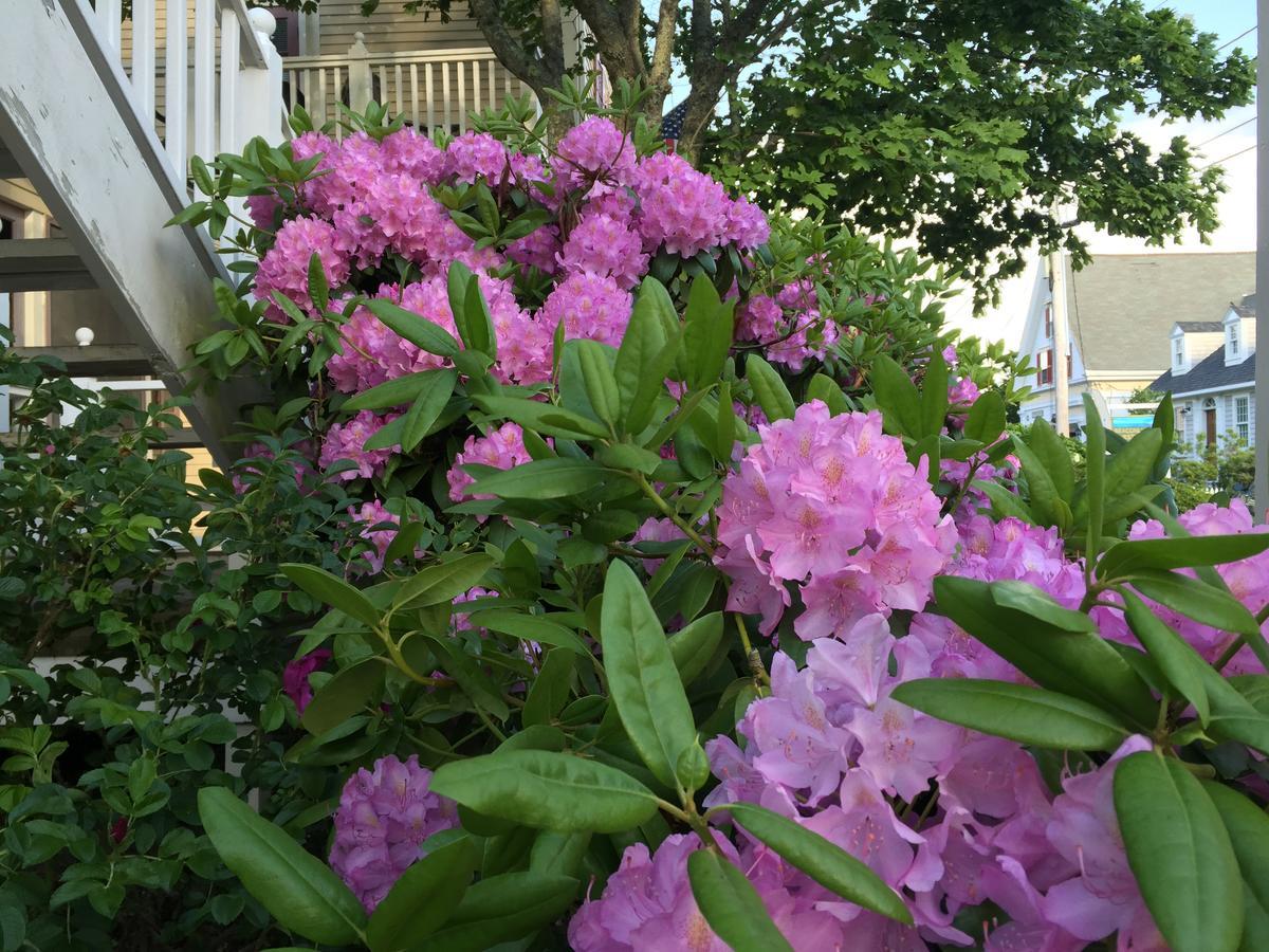 Watership Inn Provincetown Zewnętrze zdjęcie